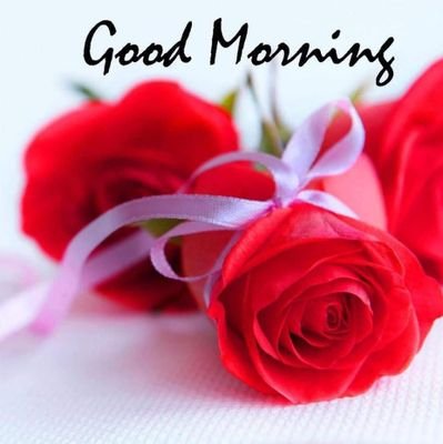 Shahzad03382218's profile picture. 