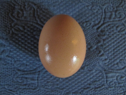 WanderingNoggin's profile picture. Quiet woman who says little but thinks lots.