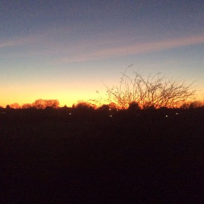 LAlkhersan's profile picture. 