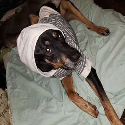 xdoomx2099's profile picture. 
