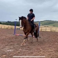 Helen Ramsay (@tiddleschick1) 's Twitter Profile