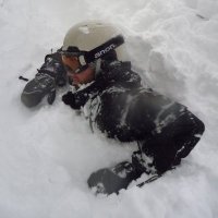 Steve Misko (@stevemisko) 's Twitter Profile
