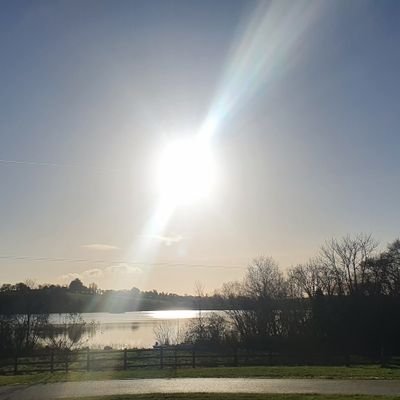 SineadR55303220's profile picture. Crypto only