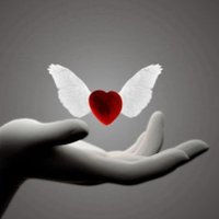 Barıșım🕊️ (@bar_sumut) 's Twitter Profile