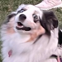 butter (@butteredkayla) Twitter profile photo