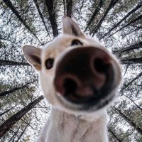Азат (@azatsagynaliev) 's Twitter Profile