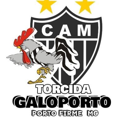 Não somos torcida organizada e sim uma torcida do Galo.