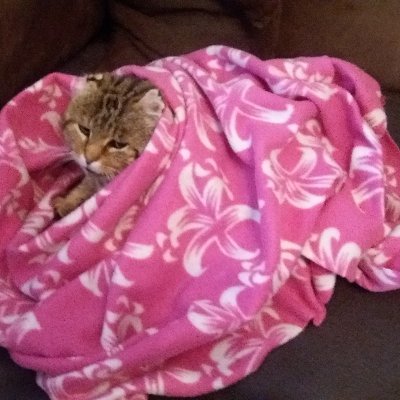 Marina18025741's profile picture. 