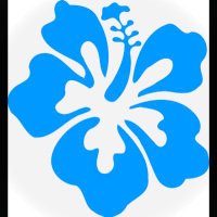 AlohaSpl (@alohaspl) 's Twitter Profile