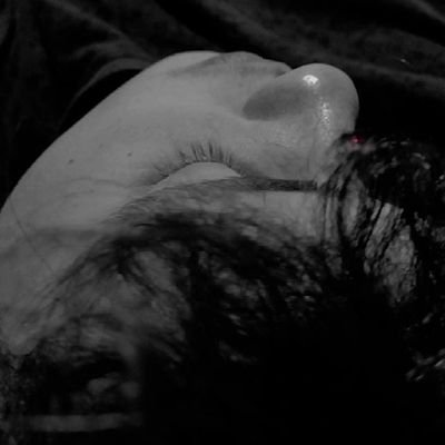 PedroHe49535722's profile picture. 