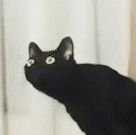 colosp484's profile picture. 