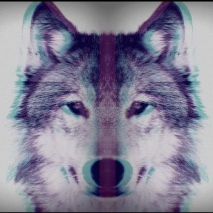 huskyta965's profile picture. Aficionado a las apuestas Deportivas