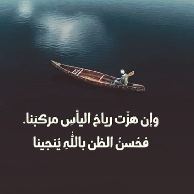 bnbnota's profile picture. 