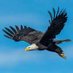 EagleFangCapital (@capitalfang) Twitter profile photo EagleFangCapital (@capitalfang) Twitter profile photo