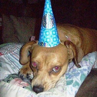 CyStDa's profile picture. Daughter, sister, mother, wife, mawmaw.  Sick and tired of being sick and tired.