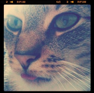 JinxDaBonker's profile picture. 