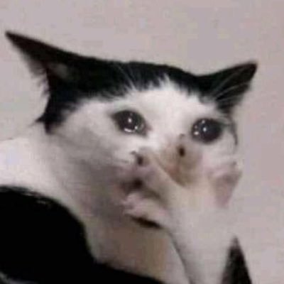 vsnspl's profile picture. 