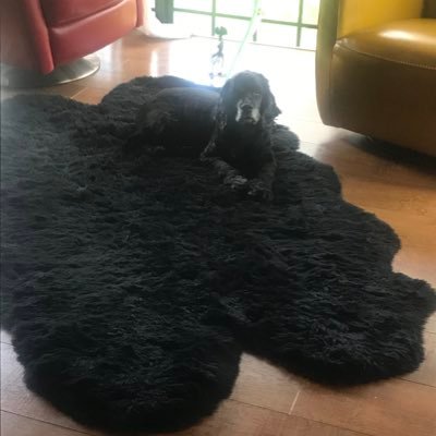 Codetrader1's profile picture. I’m happy are u?