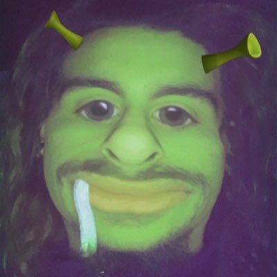 DoodlyFlare's profile picture. sheesh