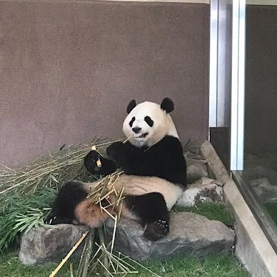 AFNaRTsO7UFynR5's profile picture. 