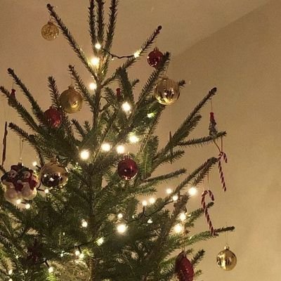 Alma navideña 🎄さんのプロフィール画像