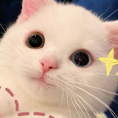 CandieMeraki ♡ Comms openさんのプロフィール画像