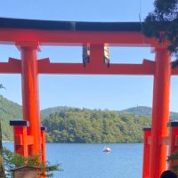 マサ (@stef10585429) 's Twitter Profile