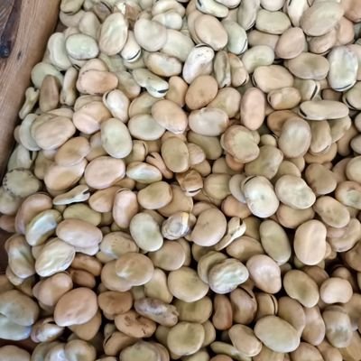 Mohamed18723390's profile picture. 