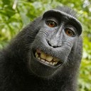 Tamara Haas - @tahaas - Twitter