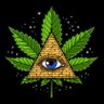 Mr_Green_Thumb1's profile picture. Here to share my grows and get some growmies. I'll be doing giveaways when I get my genetics ready. 100% Organic! Nothing for Sale. #Growyourown
