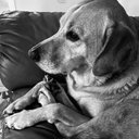 Barb Solomon - @Pokemontana - Twitter