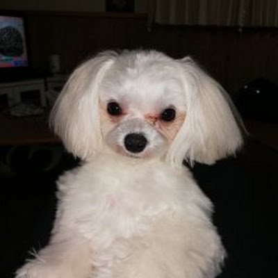 cUazExd4HBMasNz's profile picture. 