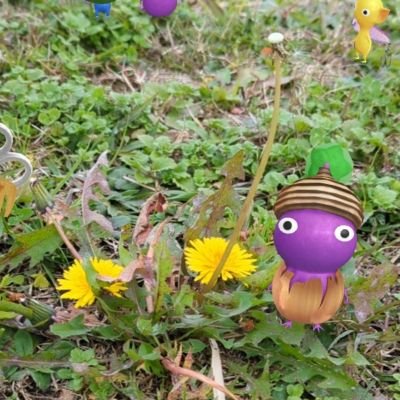 littlemy32's profile picture. 
