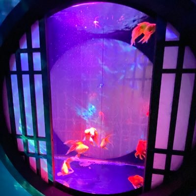 LibraLeo1013's profile picture. ZX_TCG、ヴァイスシュヴァルツプレイヤー蟲神器(New！)