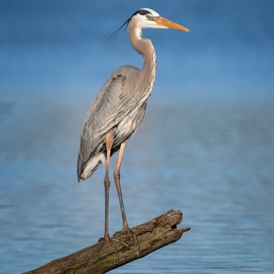 teasingzero's profile picture. Sports Idiot. 1X DIII Intramural Champion.