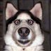 Isaac Doge Face (@isaacdogeface) Twitter profile photo Isaac Doge Face (@isaacdogeface) Twitter profile photo