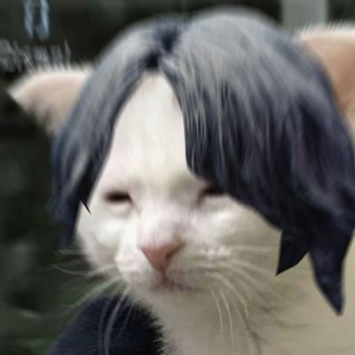 Weet ( 𝗖𝗢𝗠𝗠𝗜𝗦𝗦𝗜𝗢𝗡 𝗢𝗣𝗘𝗡 )さんのプロフィール画像