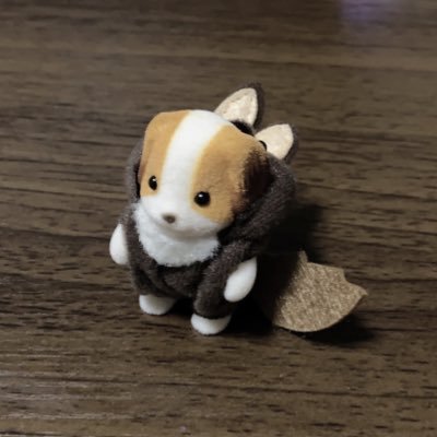 คลื่น │ ﾎﾟｸ🐶さんのプロフィール画像