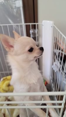 akihiro_0_1029's profile picture. 