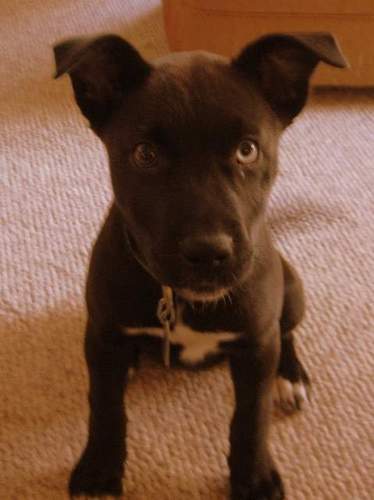 cmlarrick's profile picture. You don't have to go fast.  You just have to go!