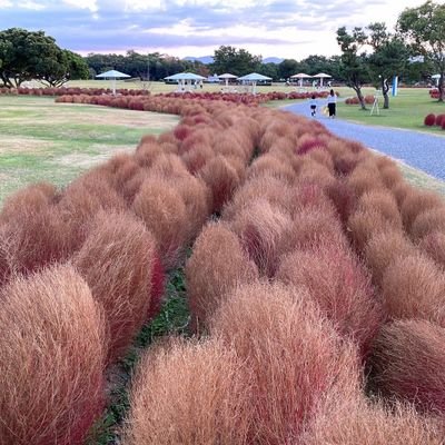 fLGkkpGZIj2hDmy's profile picture. 