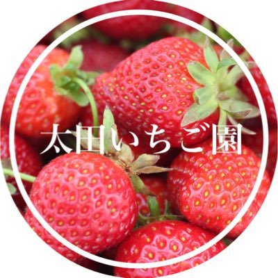 市川市 太田いちご園直売所 (@oishi1583ota) / Posts / X