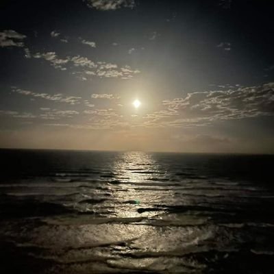 hustle_gogetit's profile picture. Long dong slong from hong kong.