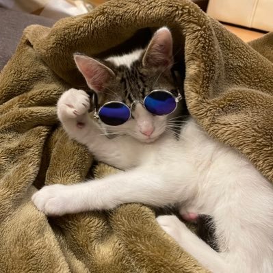 Kohakun_poker's profile picture. kkpokerやってます！