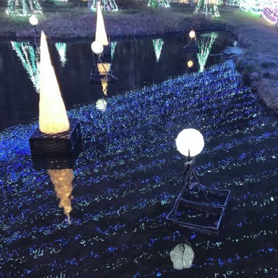 せなさんのプロフィール画像