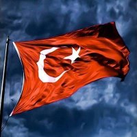 Gazi Emre (@aysemre_ayemre9) Twitter profile photo