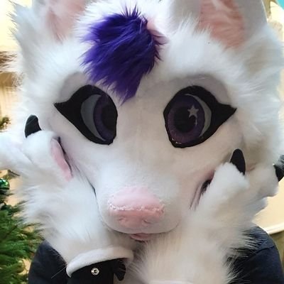 Starlight The Arctic Foxさんのプロフィール画像