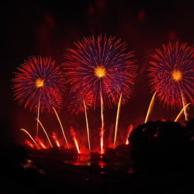 cocodoco72's profile picture. 