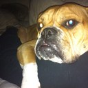 Kara Weaver - @karebear58 - Twitter