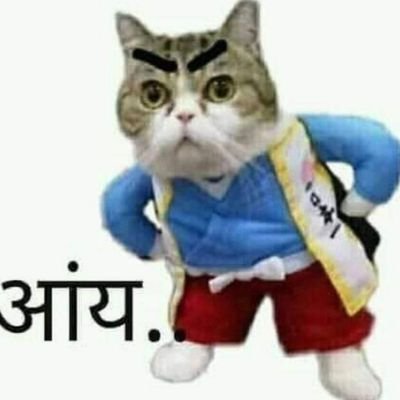 बंदेमातरम